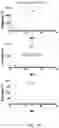 Fig. 14 - Internal paralleled active neutral point clamped converter with logic-based flying capacitor voltage balancing