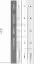 Fig. 09 - Light emitting diode communication device, method of forming and operating the same