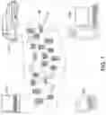 Fig. 02 - Virtual machine structure