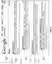Fig. 09 - Enhanced browsing with security scanning