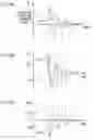 Fig. 09 - Radiographic imaging device, radiographic imaging system, control method of radiographic imaging device and program storage medium