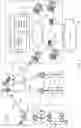 Fig. 07 - Satellite network service sharing
