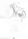 Fig. 07 - Garment for motorcyclists