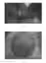 Fig. 08 - Micrometer size multi-functional probe for OCT and electro-physiological recording