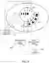 Fig. 09 - Coronary sinus-based electromagnetic mapping