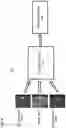 Fig. 07 - Apparatus and method for medical image reconstruction using deep learning to improve image quality in position emission tomography (PET)