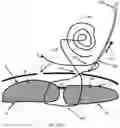 Fig. 35 - Systems, devices, and methods for closing an abdominal wall defect