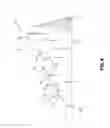 Fig. 05 - Spinal Specific Postural Correction Devices