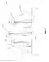 Fig. 18 - Spinal Specific Postural Correction Devices