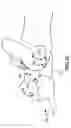 Fig. 24 - Spinal Specific Postural Correction Devices