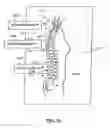Fig. 27 - Spinal Specific Postural Correction Devices