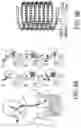 Fig. 09 - DRUG DELIVERY ARTICLES FOR GRAM-LEVEL DOSING