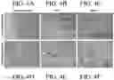 Fig. 06 - Poly(ketals) and related compositions and methods