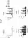 Fig. 06 - PARTICLES ENCAPSULATING FUSION PROTEINS CONTAINING LINKED EPITOPES