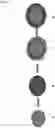 Fig. 02 - Nanocapsules and method for manufacturing thereof