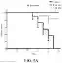 Fig. 07 - Compositions and methods for treatment of lung infections