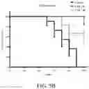Fig. 08 - Compositions and methods for treatment of lung infections