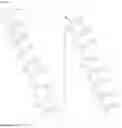 Fig. 02 - OLIGONUCLEOTIDES FOR MODULATING ATXN2 EXPRESSION