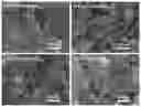 Fig. 01 - IRON OXIDE/NANOKAOLIN COMPOSITE HEMOSTATIC AGENT AND PREPARATION METHOD THEREOF