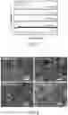 Fig. 02 - IRON OXIDE/NANOKAOLIN COMPOSITE HEMOSTATIC AGENT AND PREPARATION METHOD THEREOF