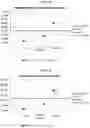 Fig. 08 - METHODS FOR PERFORMING A CORONARY ARTERY BYPASS GRAFT PROCEDURE