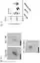 Fig. 04 - COMPOSITIONS AND RELATED METHODS FOR CONTROLLING VECTOR-BORNE DISEASES