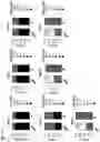Fig. 17 - COMPOSITIONS AND RELATED METHODS FOR CONTROLLING VECTOR-BORNE DISEASES