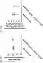 Fig. 36 - COMPOSITIONS AND RELATED METHODS FOR CONTROLLING VECTOR-BORNE DISEASES