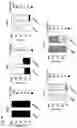Fig. 48 - COMPOSITIONS AND RELATED METHODS FOR CONTROLLING VECTOR-BORNE DISEASES