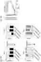 Fig. 52 - COMPOSITIONS AND RELATED METHODS FOR CONTROLLING VECTOR-BORNE DISEASES