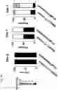 Fig. 56 - COMPOSITIONS AND RELATED METHODS FOR CONTROLLING VECTOR-BORNE DISEASES