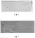 Fig. 02 - Method for preventing and treating tissue and organ fibrosis
