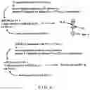 Fig. 06 - Influenza Peptides and Compositions