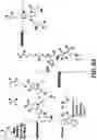 Fig. 06 - RANDOM COPOLYMER THERAPEUTIC AGENT CARRIERS AND ASSEMBLIES THEREOF