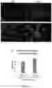 Fig. 06 - LYOPHILIZED PLACENTAL COMPOSITE SHEET AND USES THEREOF