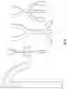 Fig. 09 - TISSUE SCAFFOLD MOLD APPARATUS AND USE IN MAKING TISSUE ENGINEERED ORGANS WITH HOLLOW STRUCTURES