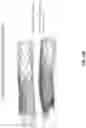 Fig. 33 - Drug eluting stent and method of use of the same for enabling restoration of functional endothelial cell layers