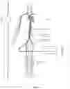 Fig. 02 - System and method for bi-directional fluid injection