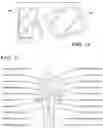 Fig. 09 - Topical neurological stimulation