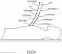 Fig. 03 - PHYSICAL ACTIVITY TRAINING ASSISTANT
