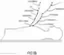 Fig. 04 - PHYSICAL ACTIVITY TRAINING ASSISTANT