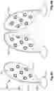 Fig. 09 - EXERCISE TRAINING SYSTEM