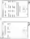 Fig. 30 - EXERCISE TRAINING SYSTEM