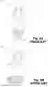 Fig. 04 - Purging system for desanding vessels