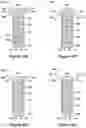 Fig. 05 - Apparatus and system for swing adsorption processes related thereto