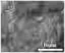 Fig. 01 - Method for preparing defect-free DDR molecular sieve membrane