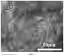 Fig. 02 - Method for preparing defect-free DDR molecular sieve membrane