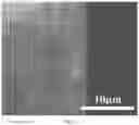 Fig. 03 - Method for preparing defect-free DDR molecular sieve membrane