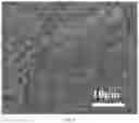Fig. 05 - Method for preparing defect-free DDR molecular sieve membrane