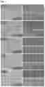 Fig. 07 - METHOD OF PRODUCING SEPARATION MEMBRANE